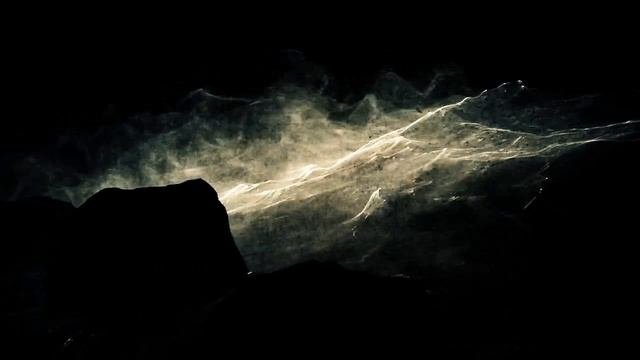 ТЕМНАЯ НОЧЬ ДУШИ - Jedidiah