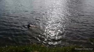 Мы на озеро?купальный сезон открыт??Дача. #луговое