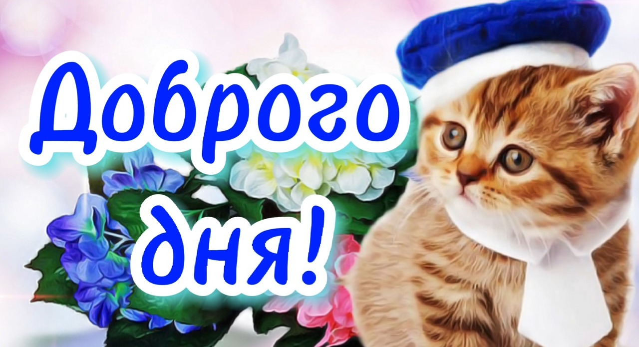Доброе утро! Отличного дня! Классная музыкальная открытка с добрым утром. Чекалин. Позитив