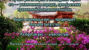 К чему снится Рис сонник, толкование сна