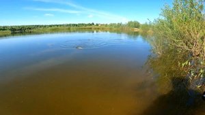 Рыбалка на ОКЕ | ЖЕРЕХ | ЩУКА | ОКУНЬ | БЕРШ |