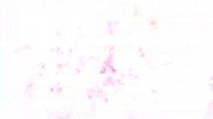 The Elder Scrolls V Skyrim Dragonborn - Official Trailer