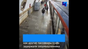 Мужчина столкнул подростка под поезд на станции метро «Киевская» в Москве