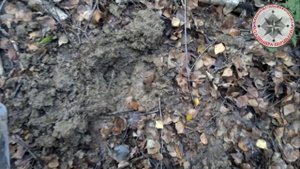 Монета под лопатой