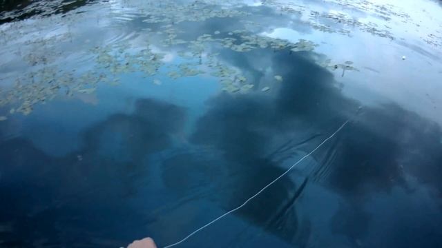 Перемёт сработал лучше,чем спиннинг с лягушкой.Ловим Змееголова .. смотреть онлайн