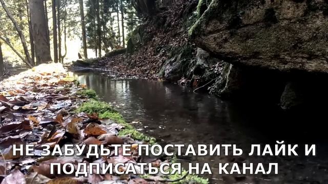 Тёще досталось знатно...Аудиорассказ. История из жизни. Истории о людях