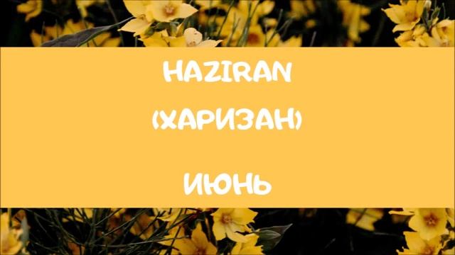 ТУРЕЦКИЙ ЯЗЫК ДЛЯ НАЧИНАЮЩИХ. МЕСЯЦЫ. ТУРЕЦКО- РУССКИЙ СЛОВАРЬ. ТУРЕЦКИЙ ЯЗЫК. ТУРЦИЯ. МАРМАРИС.