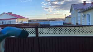 Как пересадить небольшую сосну себе на участок , как пересадить березу из леса