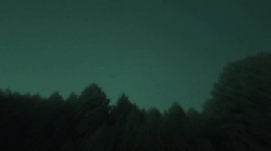 Exclusive ? Oleksandr Usyk 2020 | Александр Усик на охоте ??? Олександр Усик на полюванні | Фауна