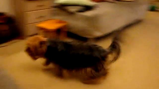 Каспер и Мишель.wmv смотреть онлайн