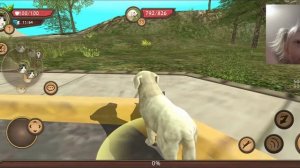 Cat sim. Roblox. Симулятор кошки. Дети. Симулятор.