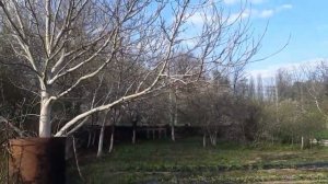 Дом продан. Цена: 2млн 800 тыс.руб.? 80 м.кв. 14 соток земли?