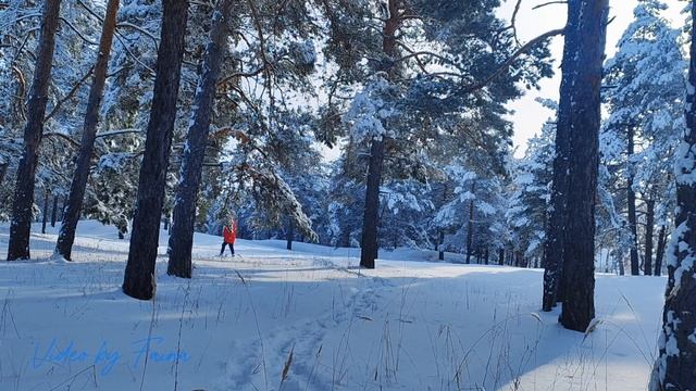 Красивый зимний лес. «Зимний сон» песня под гитару.