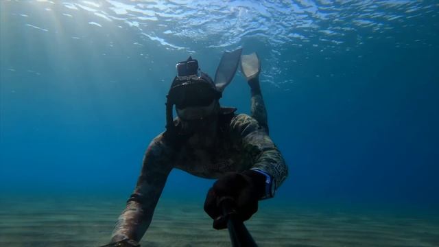 Pesca subacquea sulla sabbia: mentre una barca mi passa sopra! смотреть онлайн