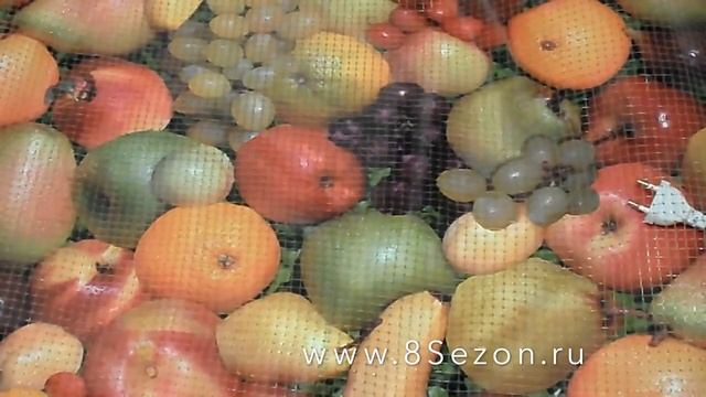 Инфракрасная сушилка овощей "Самобранка" смотреть онлайн