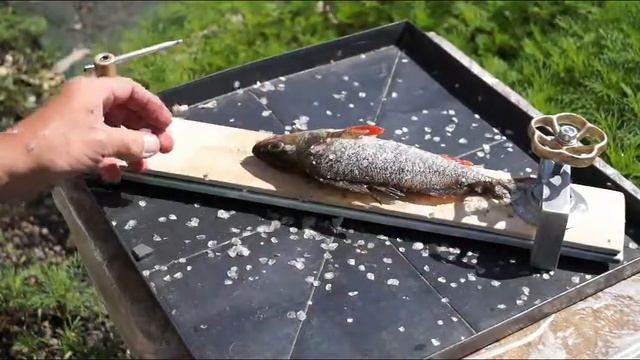 Рыбочистка своими руками