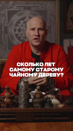 Сколько лет самому старому чайному дереву?