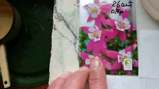 Выгодно ли выращивать цветы на продажу