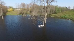 птицеферма Акстар