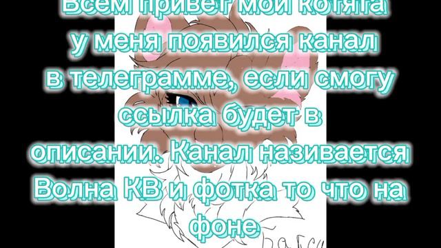 Появился канал в телеграмме смотреть онлайн