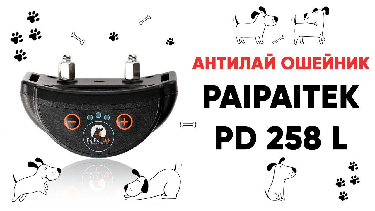 Обзор антилай ошейника для собак PD 258 | Amazin.Su смотреть онлайн
