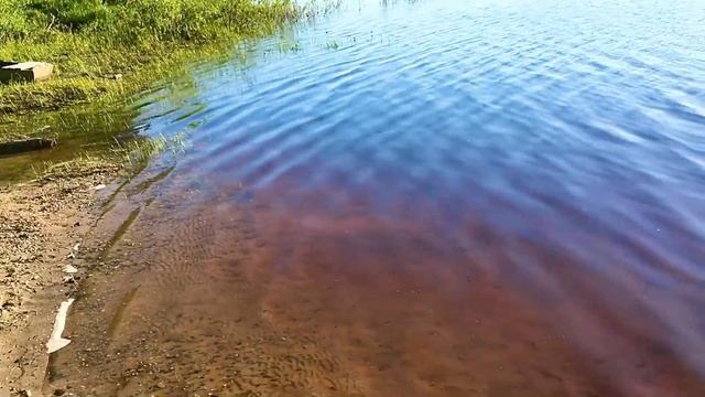 Красивый пейзаж реки Кубена, Усть-Кубинский район.