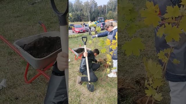 Наш лес.Посади свое дерево - акция в Малой истре Часть 4