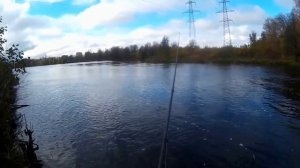 Рыбалка, о.Черное,  г.Шатура .