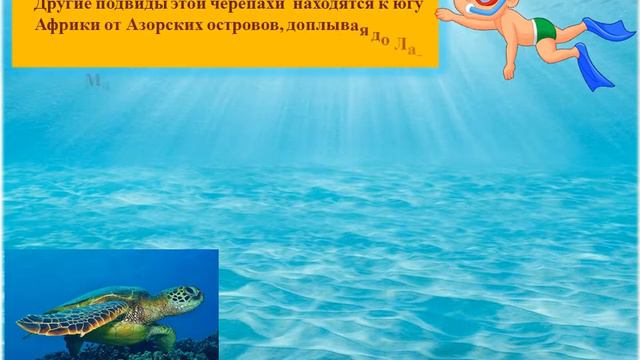 Зелёная черепаха смотреть онлайн