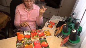 Проверенные вкусные сорта томатов для северо-запада России.