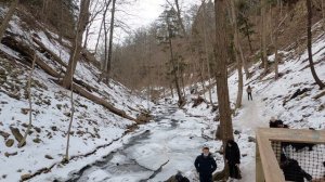 The Tiffany Falls Conservation Area