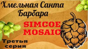 Хмельная санта Барбара!!Серия 3!MOSAIC и SIMCOE!Хмель в домашнем  пивоварении!Z