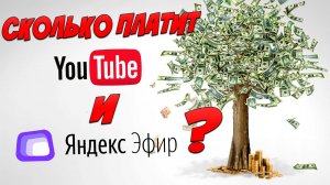 Сколько платит youtube за просмотры \ Сколько платит яндекс эфир за просмотры