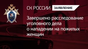 Завершено расследование уголовного дела о нападении на пожилых женщин