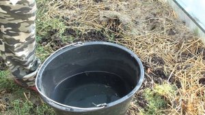 Как улучшить глинистую землю.Сделать ее плодородной и рыхлой.