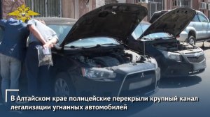 В Алтайском крае полицейские перекрыли крупный канал легализации  угнанных автомобилей