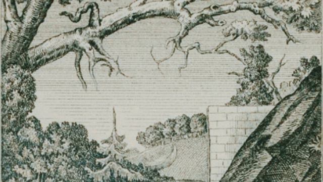 Сможете найти мужчину на картинке? смотреть онлайн