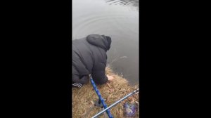 Ушел красавец. #Shorts