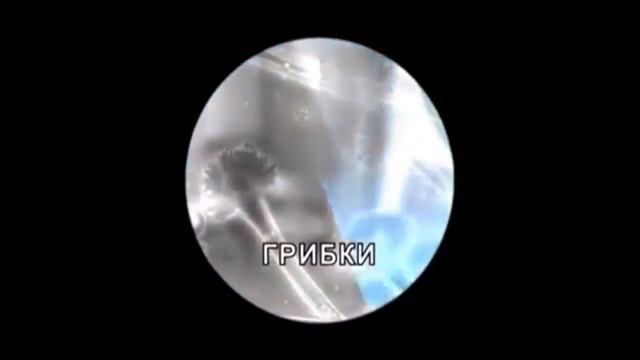что такое озон?