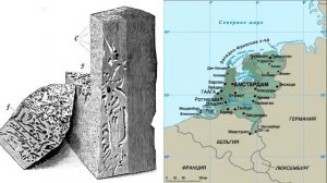 ТЕРЕДО - Корабельные черви