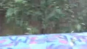 В Тархово на рыбалку