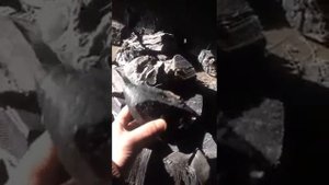 Дробилка-измельчитель резины, покрышек, каучука в крошку