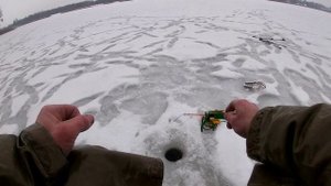 Применяю секретную прикормку и презентация нового формата жерлицы!