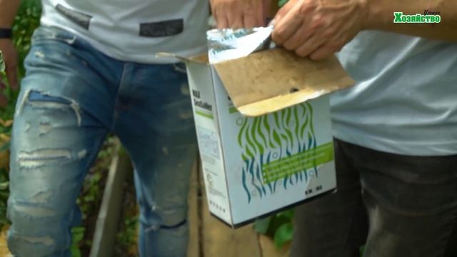 Желтеют листья у огурцов?! Еще не поздно все исправить! Огурцы будут сладки, плотные и красивые.