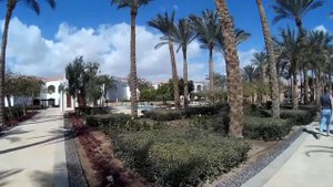 Обзор отеля REEF OASIS BLUEBAY 5* (Шарм-Эль-Шейх) Египет