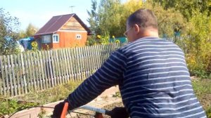 Мотоблок Нева МБ-2. Выкапывание картофеля.