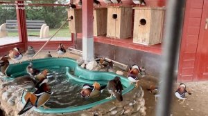 Отдых вне сезона в Сочи | Что посмотреть | Вкусные места | Сириус | Имеретинка | Адлер |