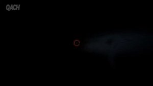 попахивает рыбьим жиром