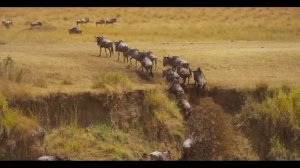 Невыдуманная история.Страшные. Мистические. Творческие  рассказы.