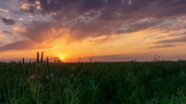 Средство избавиться от тягости на душе. Преподобный Анатолий Оптинский(старший). смотреть онлайн